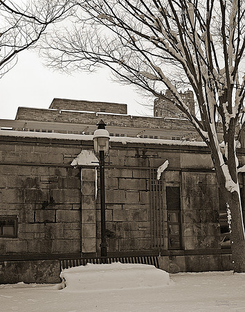 "People, Street Scenes, Pondered Artifacts"