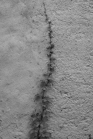 Street Photography, People, Things