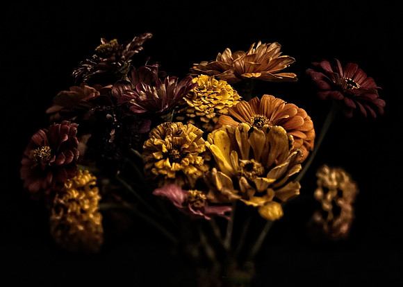 Art, Color, Flowers, Floral, Photo Art, ©johnfinkjr