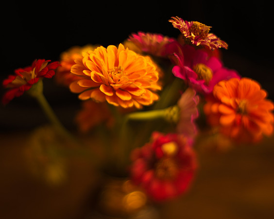 Art, Color, Flowers, Floral, Photo Art, ©johnfinkjr