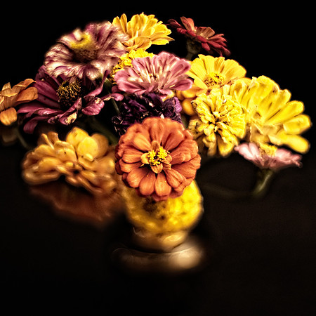 Art, Color, Flowers, Floral, Photo Art, ©johnfinkjr