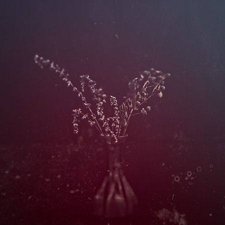 Art, Color, Flowers, Floral, Photo Art, ©johnfinkjr
