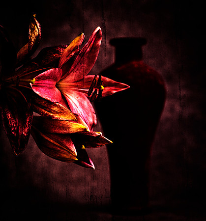 Art, Color, Flowers, Floral, Photo Art, ©johnfinkjr