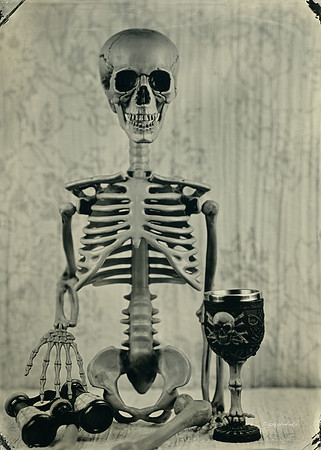 wet plate collodion, Still Life, Skulls, Skeletons, Bones, Graveyards
