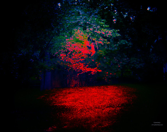Red Drops