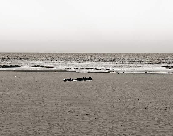 "People, Street Scenes, Pondered Artifacts"