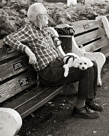 "People, Street Scenes, Pondered Artifacts"