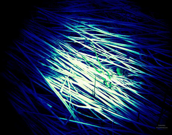 Strands