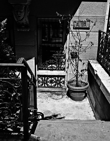 Brownstone Entrance