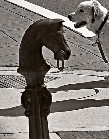 "People, Street Scenes, Pondered Artifacts"
