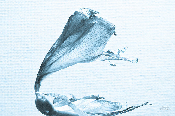 Bring Me Dead Flowers Series