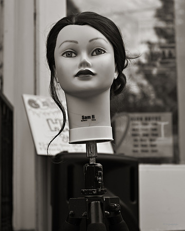 "People, Street Scenes, Pondered Artifacts"