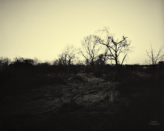 Winter's Desolation