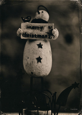 wet plate collodion, still life
