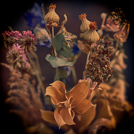 Art, Color, Flowers, Floral, Photo Art, ©johnfinkjr