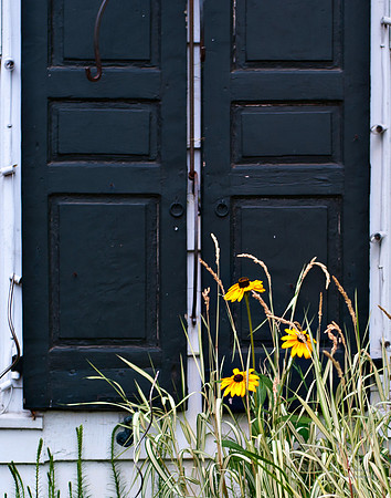 "Color, Doors, Objects, Scenery, Windows, Architecture, Automobiles, Artifacts"