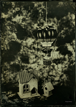 collodion, wet plate, ferrotype, tintype, still life, paparazzi