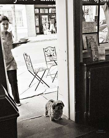 "People, Street Scenes, Pondered Artifacts"