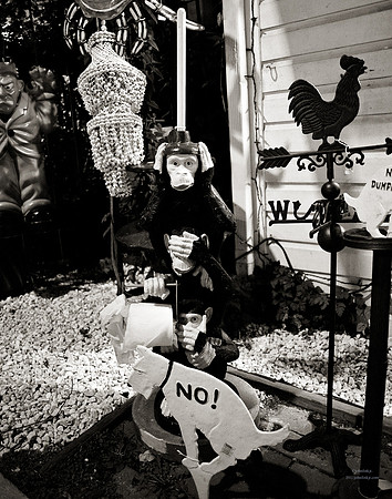 "People, Street Scenes, Pondered Artifacts"