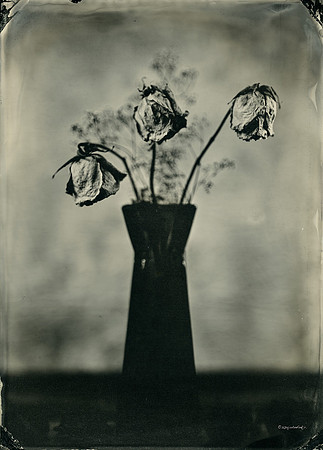 Dried Roses IN Vase