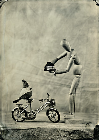 "collodion, wet plate, ferrotype, tintype, still life, paparazzi"