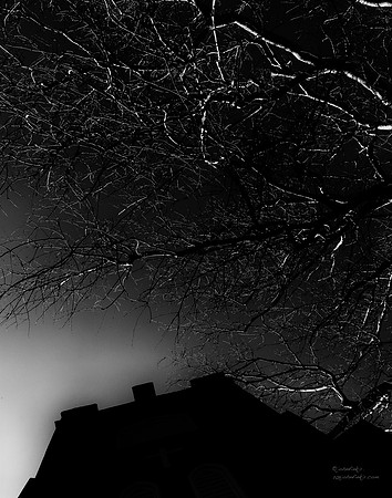 A Skyward Glow