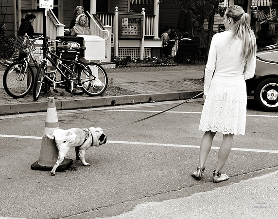 "People, Street Scenes, Pondered Artifacts"
