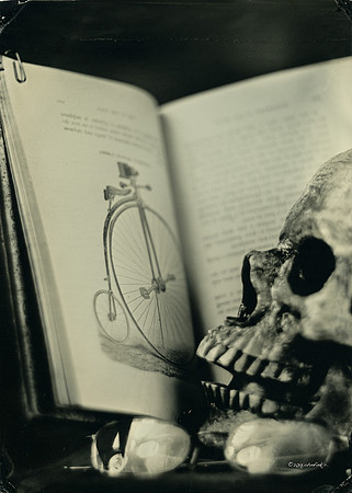 wet plate collodion, Still Life, Skulls, Skeletons, Bones, Graveyards