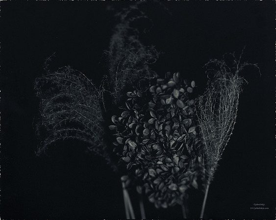 Flora, Flowers, Still Life