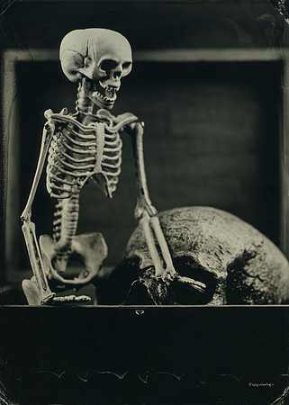wet plate collodion, Still Life, Skulls, Skeletons, Bones, Graveyards