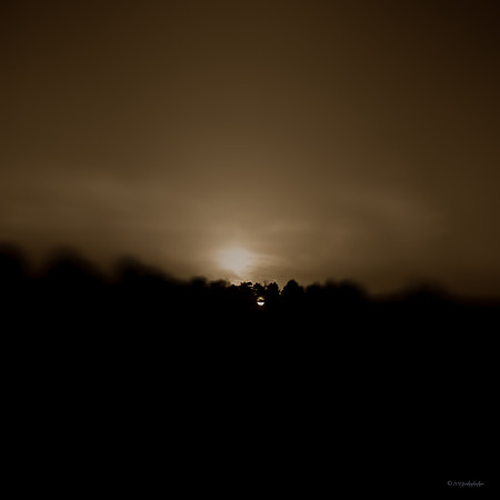 Progression - 5