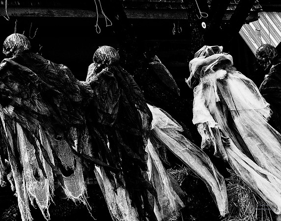 Flight Of The Ghouls