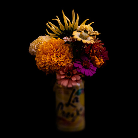 Art, Color, F, Floral, Photo, oral, ©johnfinkjr