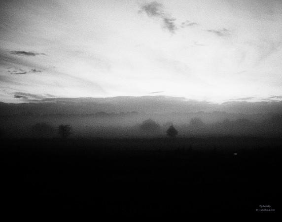 Forever Lost