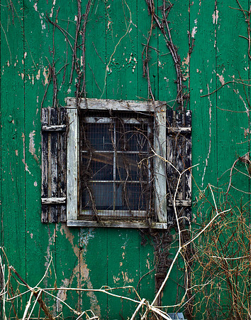 "Color, Doors, Objects, Scenery, Windows, Architecture, Automobiles, Artifacts"