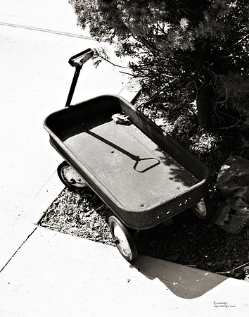 "People, Street Scenes, Pondered Artifacts"