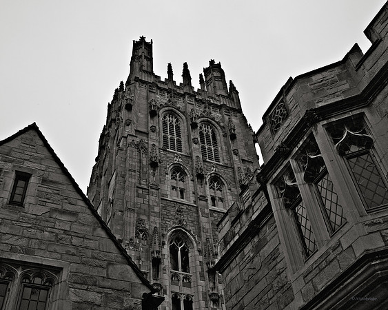 Yale University