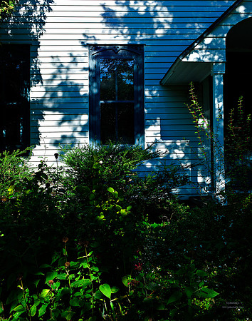 "Color, Doors, Objects, Scenery, Windows, Architecture, Automobiles, Artifacts"