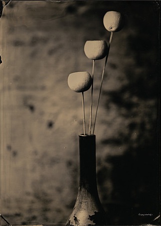 Untitled #1
