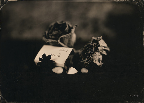 wet plate collodion, still life