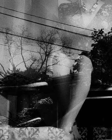 Window Treasure