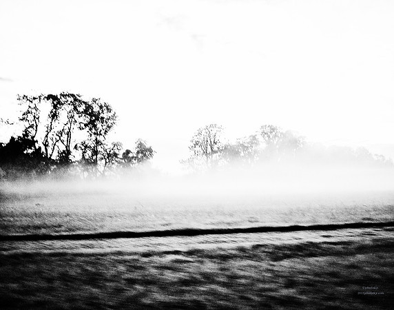 A Lonely Path To Take