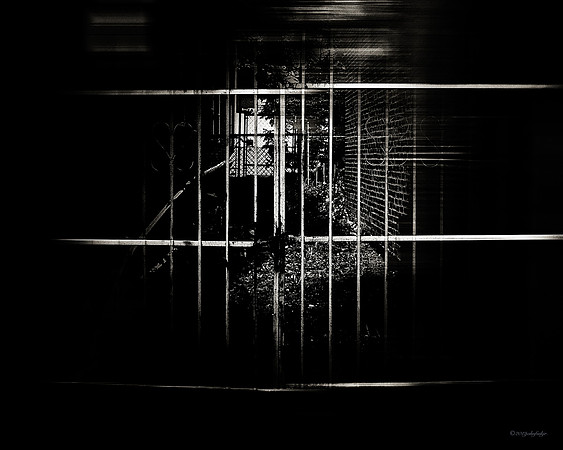 Lines To Cross