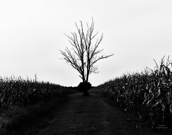 The Overseer