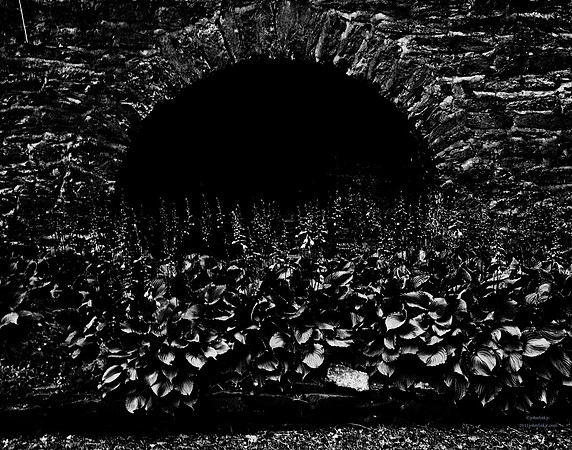 A Place To Crawl