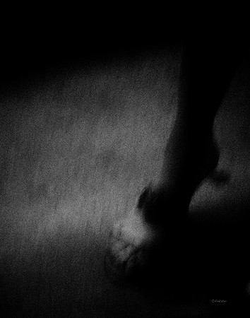 Midnight Exposure