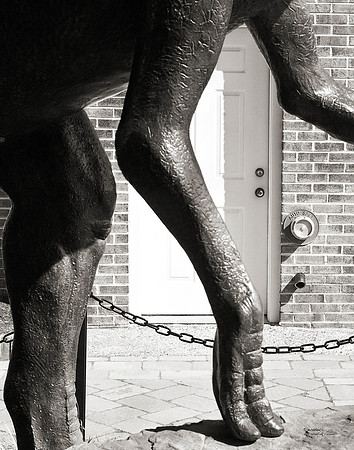 "People, Street Scenes, Pondered Artifacts"