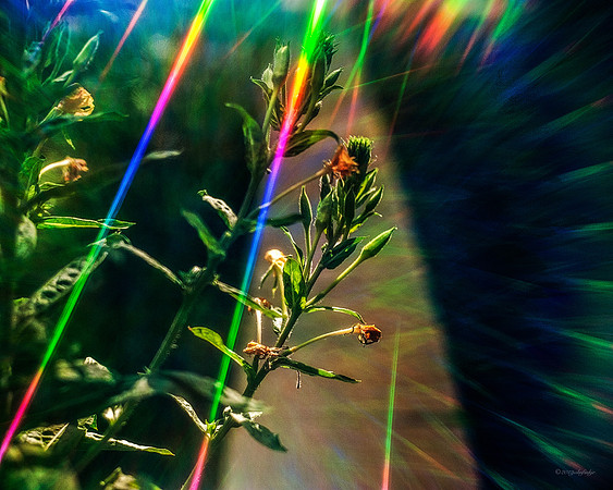 Prism Child