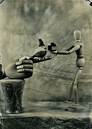 "collodion, wet plate, ferrotype, tintype, still life, paparazzi"
