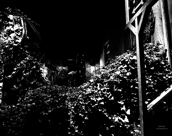 Encroachment